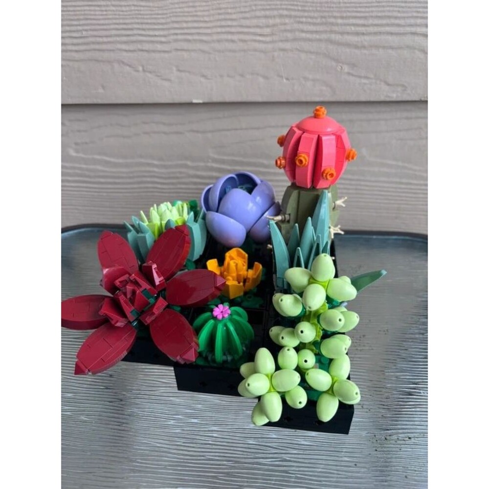 Lego Botanical Collection Succulents #10309